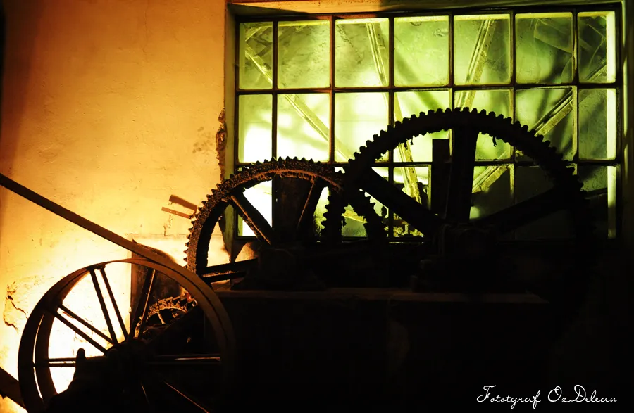 DSC_16381